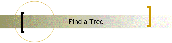 Find a Tree