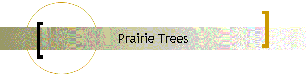 Prairie Trees